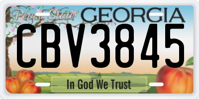 GA license plate CBV3845