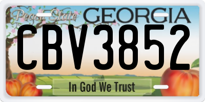 GA license plate CBV3852