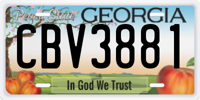 GA license plate CBV3881