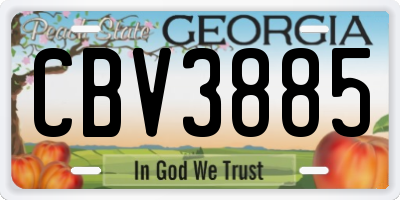GA license plate CBV3885