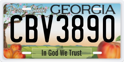 GA license plate CBV3890