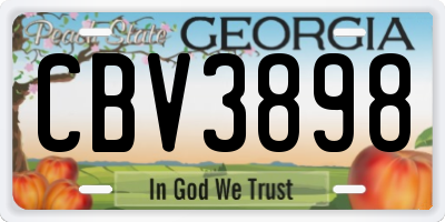 GA license plate CBV3898
