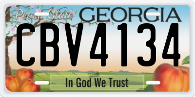 GA license plate CBV4134