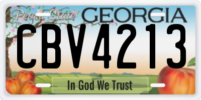 GA license plate CBV4213