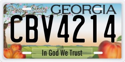 GA license plate CBV4214