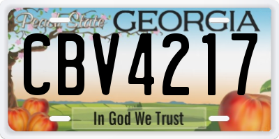 GA license plate CBV4217