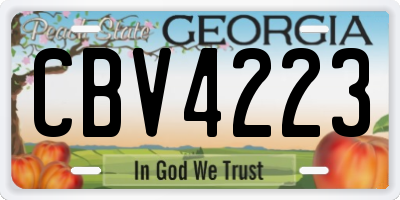 GA license plate CBV4223