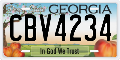 GA license plate CBV4234