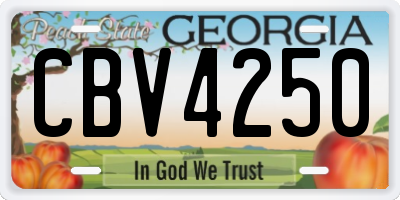 GA license plate CBV4250