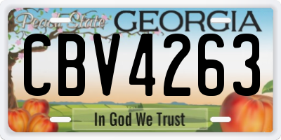 GA license plate CBV4263