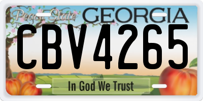 GA license plate CBV4265