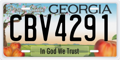 GA license plate CBV4291