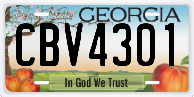 GA license plate CBV4301