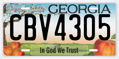 GA license plate CBV4305