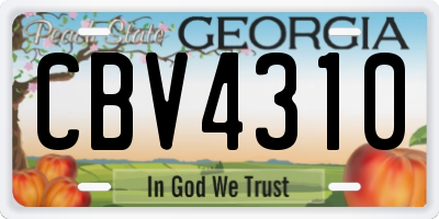 GA license plate CBV4310