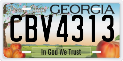 GA license plate CBV4313