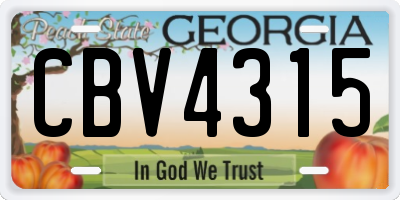 GA license plate CBV4315