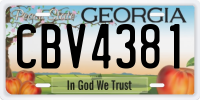 GA license plate CBV4381