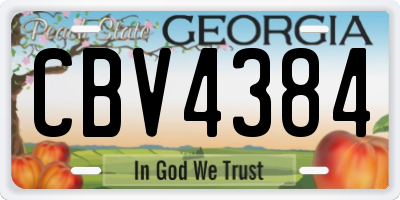 GA license plate CBV4384