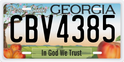 GA license plate CBV4385