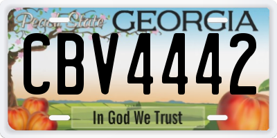 GA license plate CBV4442