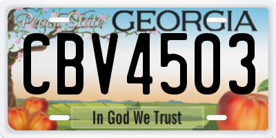 GA license plate CBV4503