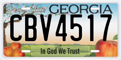 GA license plate CBV4517