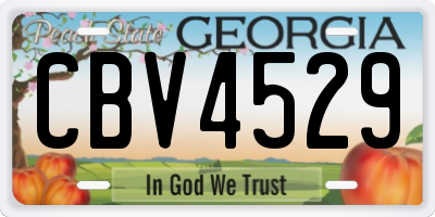 GA license plate CBV4529
