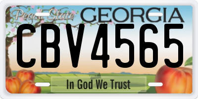 GA license plate CBV4565