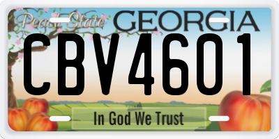 GA license plate CBV4601