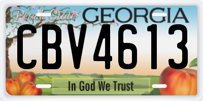 GA license plate CBV4613