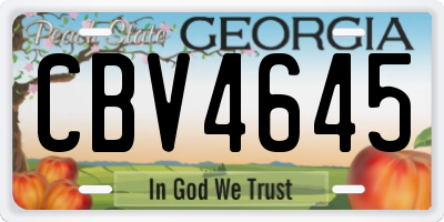 GA license plate CBV4645