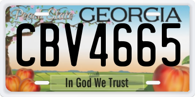 GA license plate CBV4665