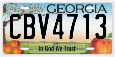 GA license plate CBV4713