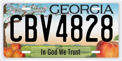 GA license plate CBV4828