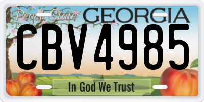 GA license plate CBV4985