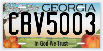 GA license plate CBV5003