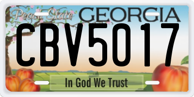 GA license plate CBV5017