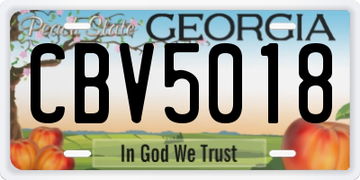 GA license plate CBV5018