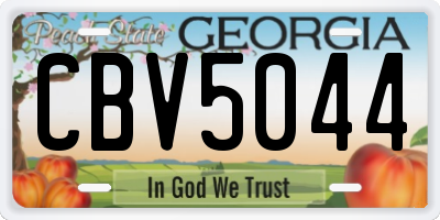 GA license plate CBV5044