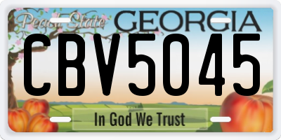 GA license plate CBV5045