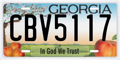 GA license plate CBV5117