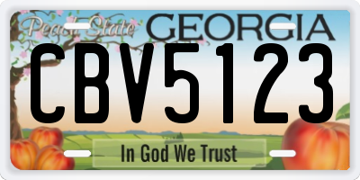 GA license plate CBV5123
