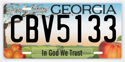 GA license plate CBV5133