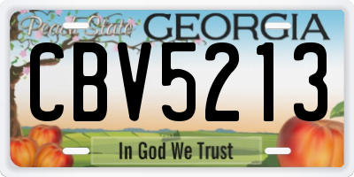GA license plate CBV5213