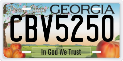 GA license plate CBV5250