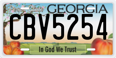 GA license plate CBV5254