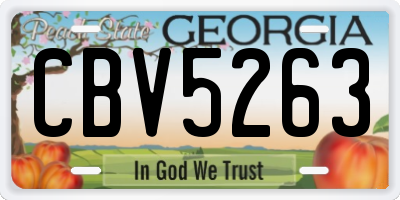 GA license plate CBV5263
