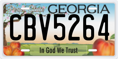 GA license plate CBV5264