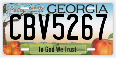 GA license plate CBV5267
